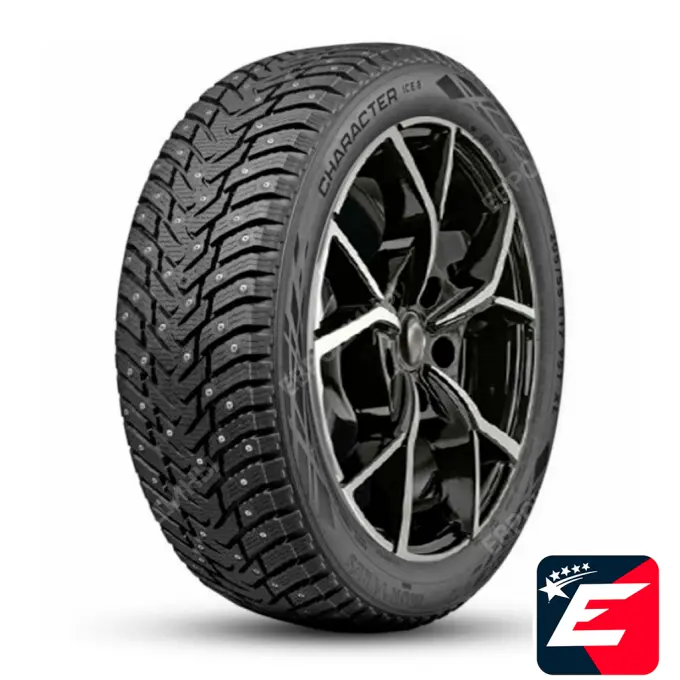 Ikon Tyres Character Ice 8 205/55 R17 95T