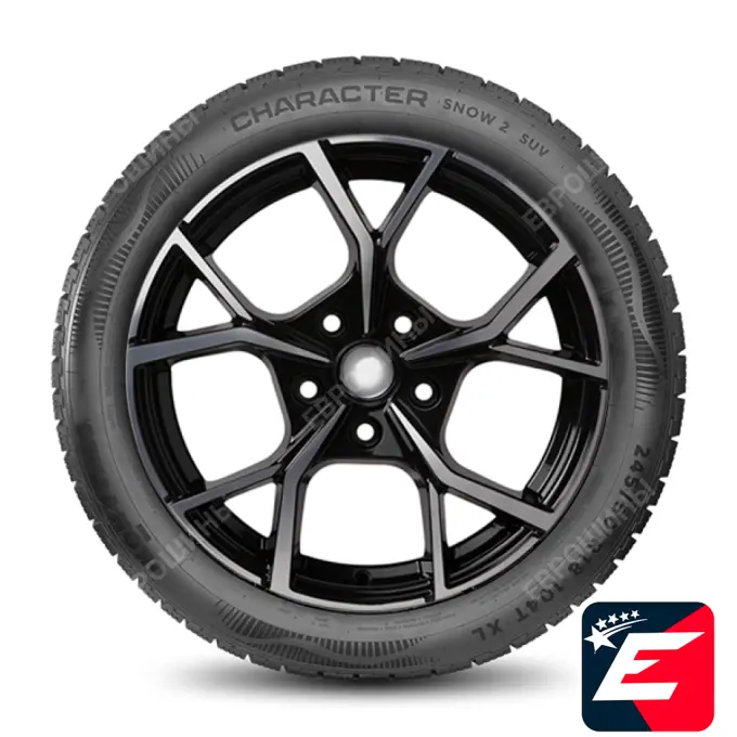 Ikon Tyres Character Snow 2 205/55 R17 95H