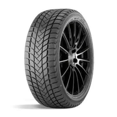 LANDSAIL WINTER LANDER 225/55 R17 97H