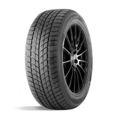 DOUBLESTAR WINTERKING DW09 235/55 R20 102H
