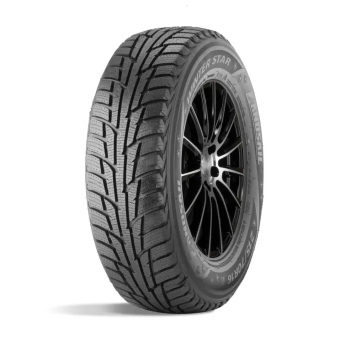 LANDSAIL WINTER STAR 245/65 R17 107H