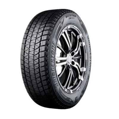 Bridgestone Blizzak DM-V3 225/55 R19 99T