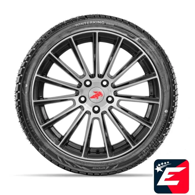 DOUBLESTAR WINTERKING DW08 155/70 R13 75T