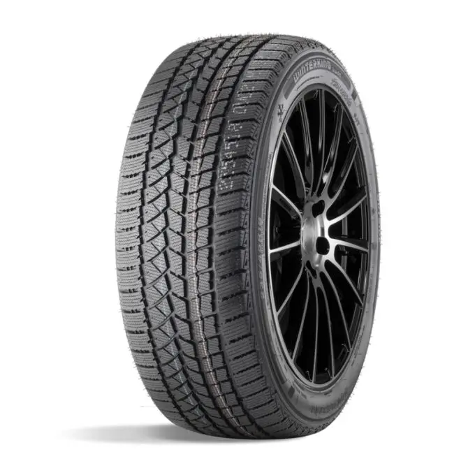 DOUBLESTAR WINTERKING DW02 235/60 R18 103T