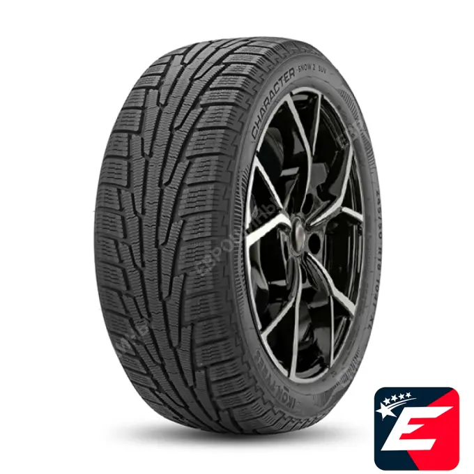 Ikon Tyres Character Snow 2 205/55 R17 95H