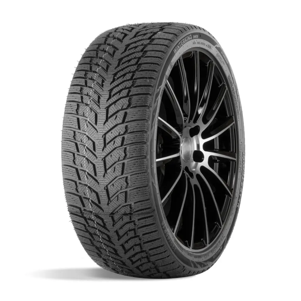 DOUBLESTAR WINTERKING DW08 225/45 R18 95H