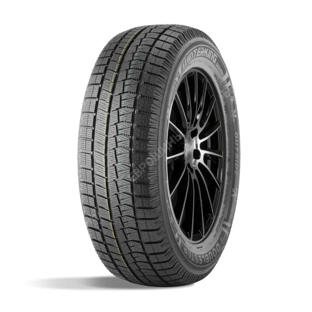 DOUBLESTAR WINTERKING DW05 235/55 R19 101T