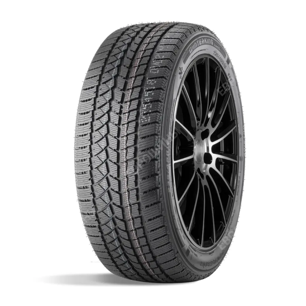 DOUBLESTAR WINTERKING DW02 275/45 R21 110T