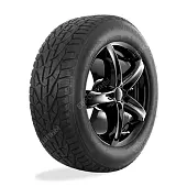 SUV Winter