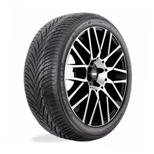 BFGOODRICH G-FORCE WINTER 2 205/45 R17 88V XL