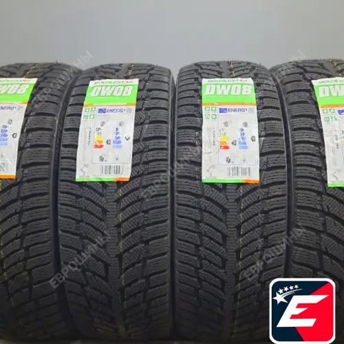 DOUBLESTAR WINTERKING DW08 185/65 R14 86T