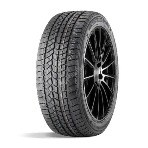 DOUBLESTAR WINTERKING DW02 235/55 R18 100S