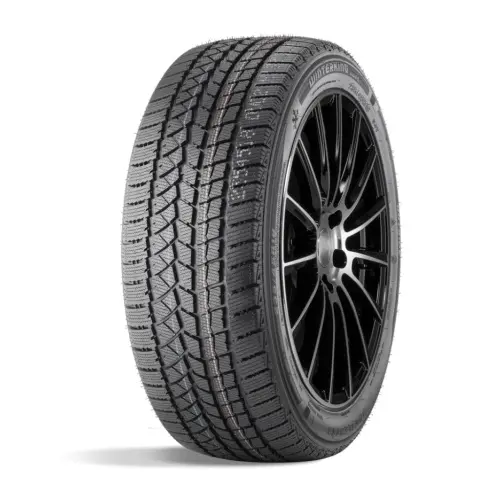 DOUBLESTAR WINTERKING DW02 235/55 R18 100S