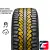 Pirelli Formula Ice 205/50 R17 93T XL