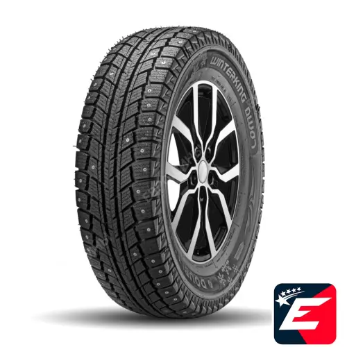 DOUBLESTAR WINTERKING DW07 205/70 R15 96T