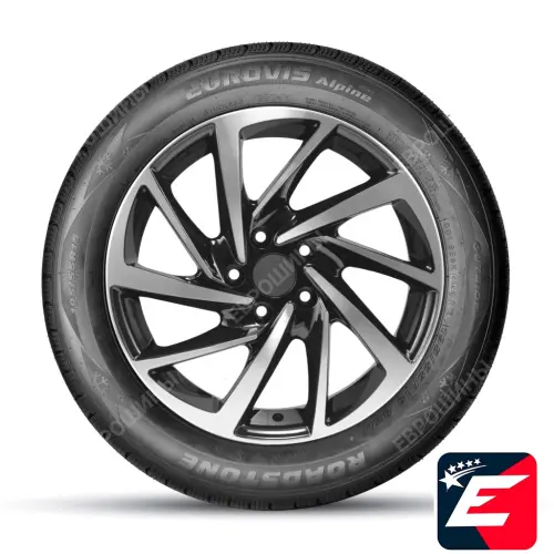 ROADSTONE EUROVIS ALPINE WH1 205/55 R16 91H