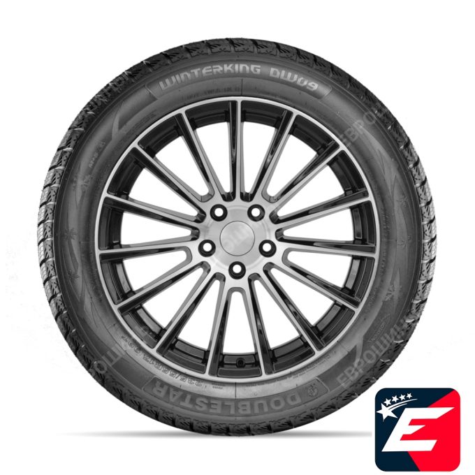 DOUBLESTAR WINTERKING DW09 235/55 R20 102H