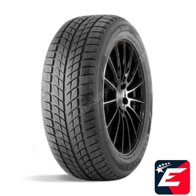 DOUBLESTAR WINTERKING DW09 235/55 R20 102H