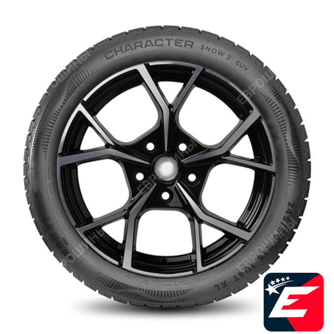 Ikon Tyres Character Snow 2 225/45 R19 96T