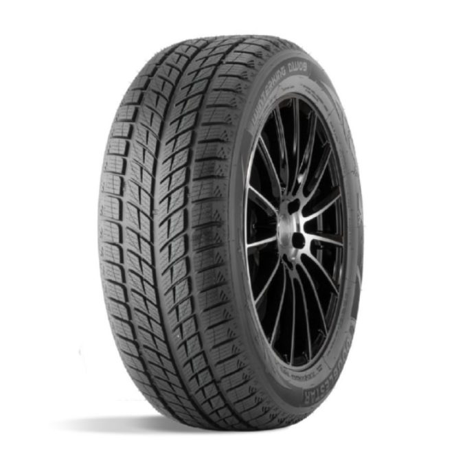 DOUBLESTAR WINTERKING DW09 235/55 R20 102H