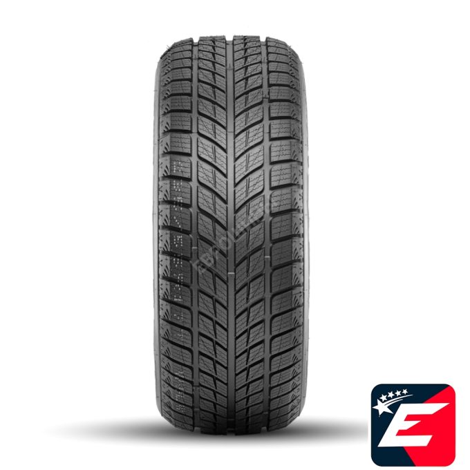 DOUBLESTAR WINTERKING DW09 235/55 R20 102H