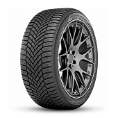 BluEarth Winter V906