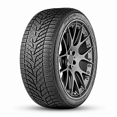 BluEarth*Winter V905